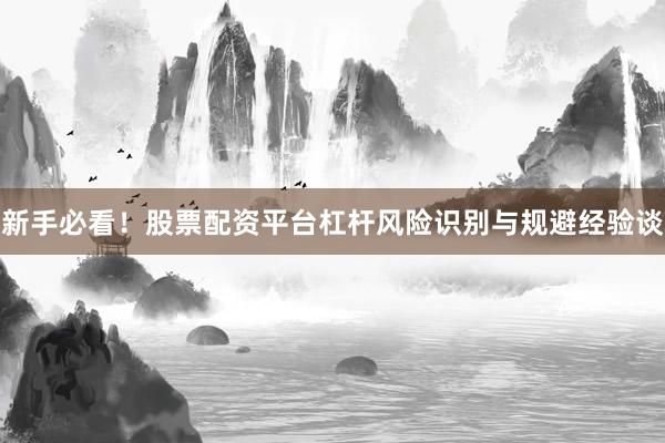 新手必看！股票配资平台杠杆风险识别与规避经验谈