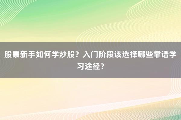 股票新手如何学炒股？入门阶段该选择哪些靠谱学习途径？