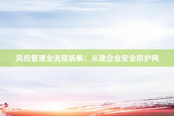 风控管理全流程拆解：从建企业安全防护网