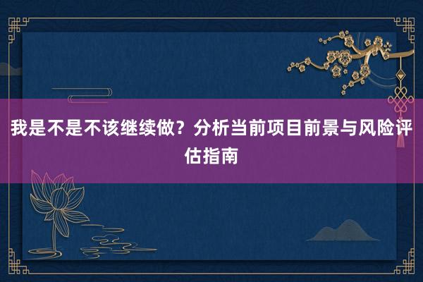我是不是不该继续做?分析当前项目前景与风险评估指南